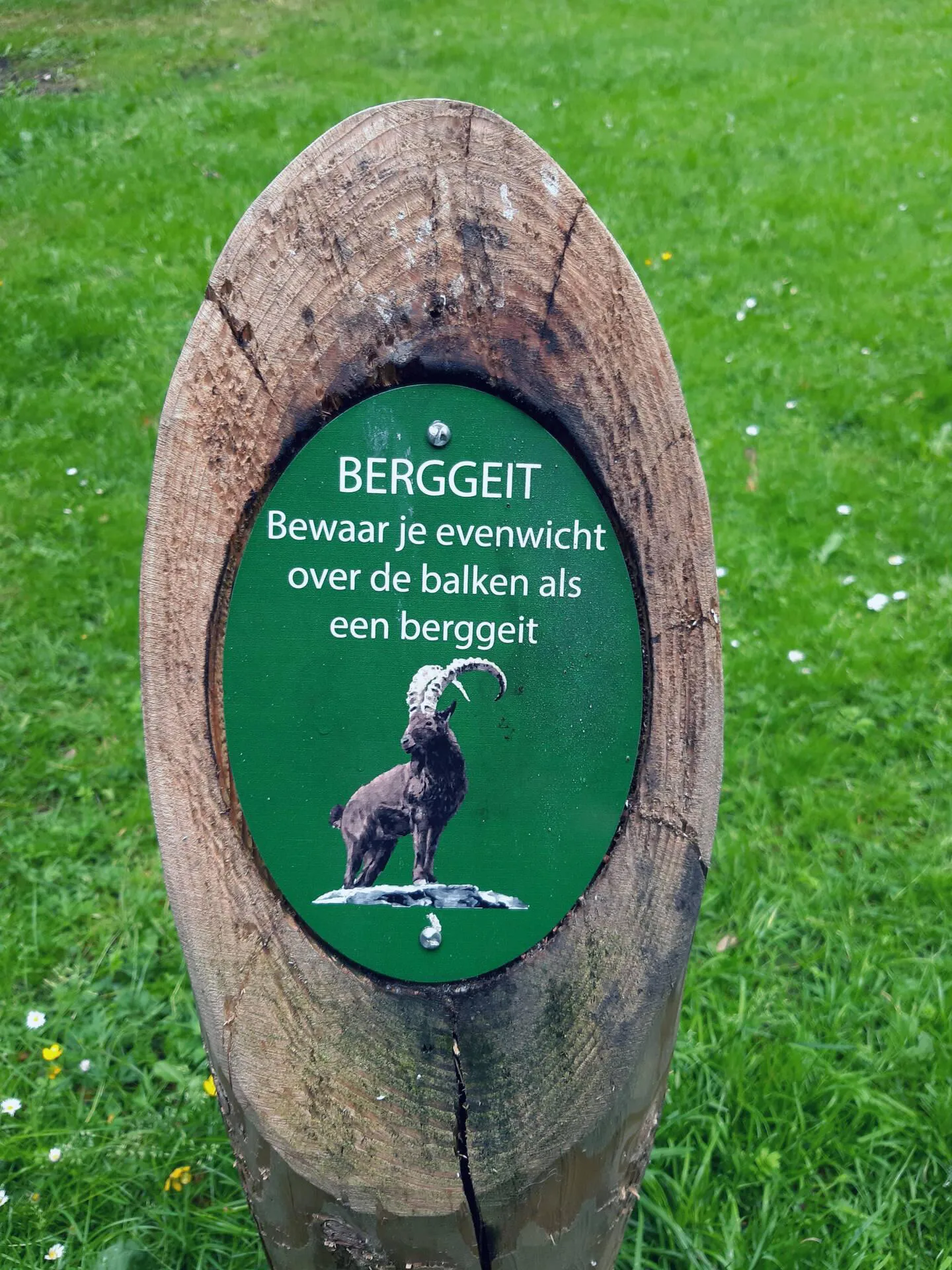 Rondje Beleefpark en Ossebroeken, kort (geschikt voor mindervaldiden)