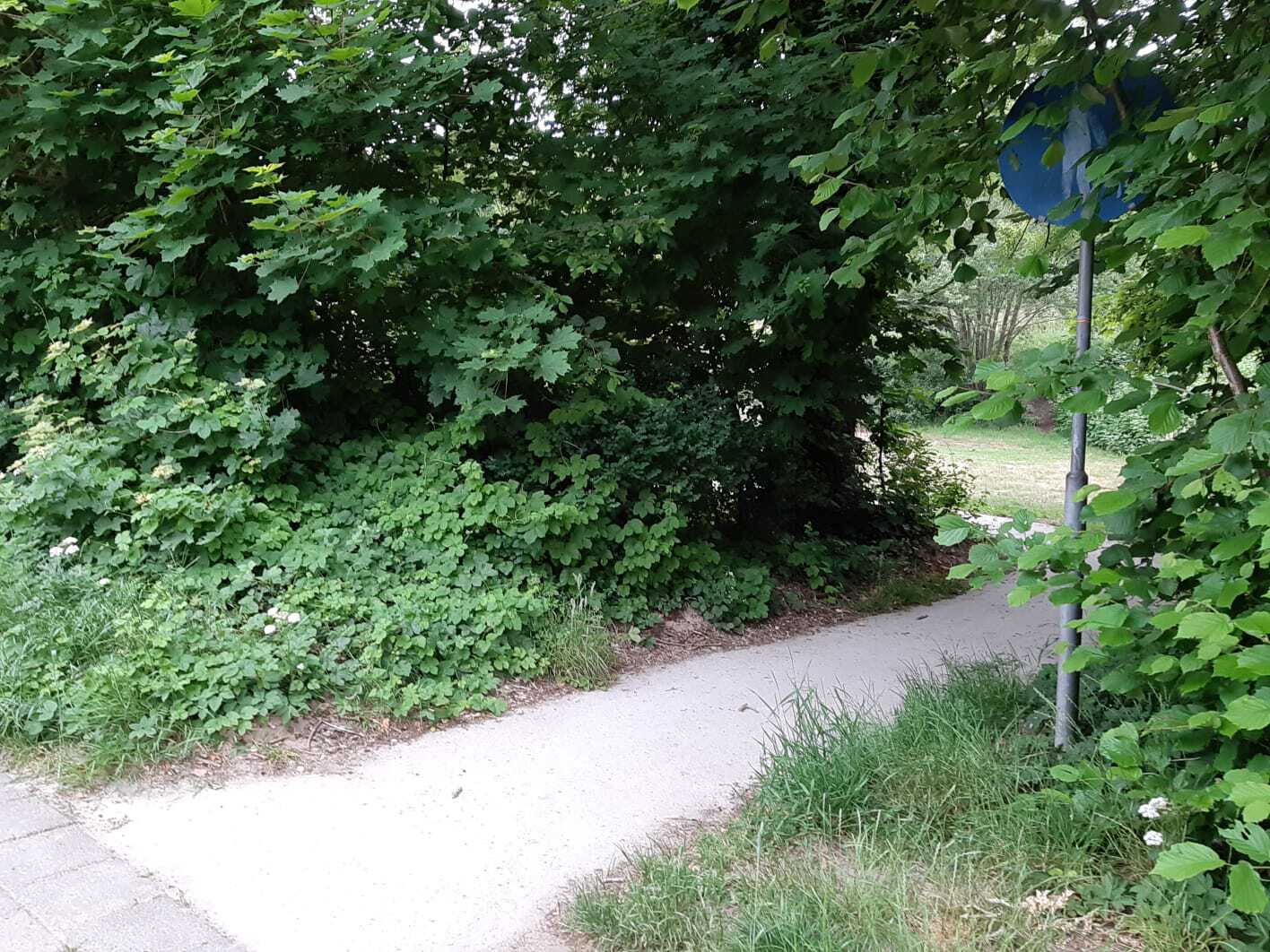 Rondje Beleefpark en Ossebroeken, kort (geschikt voor mindervaldiden)